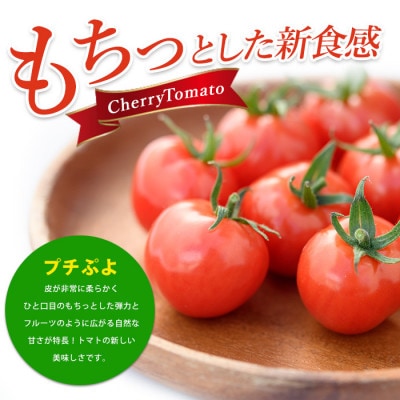 【鹿児島県指宿市産】さくらんぼトマト 薩摩の恋心 35個入 010-373 ぷちぷよ ミニトマト