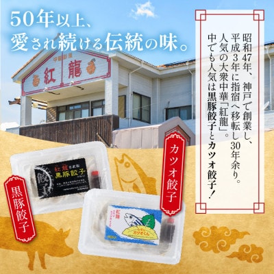 カツオ餃子10パックセット(010-391)