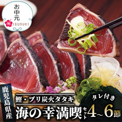 【のし付き】【お中元ギフト】指宿 海の幸満喫セット(013-309c)