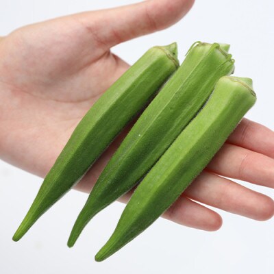 指宿産オクラ 約2kg(010-461)
