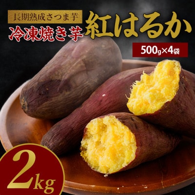 【鹿児島県産 さつま芋】芋蜜とろり 紅はるかの冷凍焼き芋 2kg(500g×4袋)(010-430)