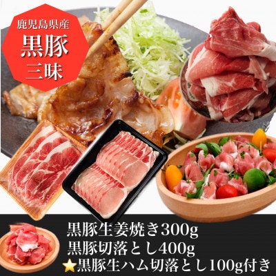 黒豚三昧!黒豚切落とし400g+黒豚しょうが焼き300g+黒豚生ハム1P(010-497)