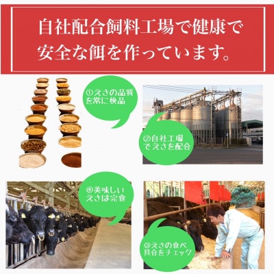 鹿児島県産5等級黒毛和牛薄切りすき焼き・しゃぶしゃぶ500g(010-542)