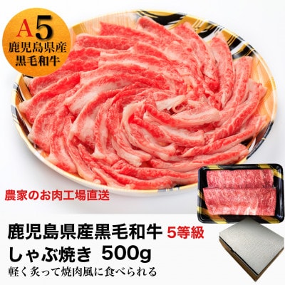 鹿児島県産5等級黒毛和牛薄切りしゃぶ焼500g(010-543)