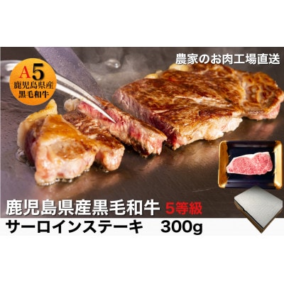 鹿児島県産5等級黒毛和牛サーロインステーキ300g(010-544)