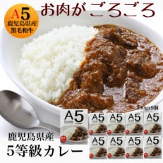 鹿児島県産5等級黒毛和牛カレーごろごろお肉入り200g×9個(013-1285)