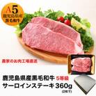 鹿児島県産5等級黒毛和牛サーロインステーキ360g(180g×2枚)(013-1286)