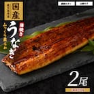 【鹿児島県産】うなぎ蒲焼じっくり焼き約250g×2尾 木目化粧箱入り(020-1107)