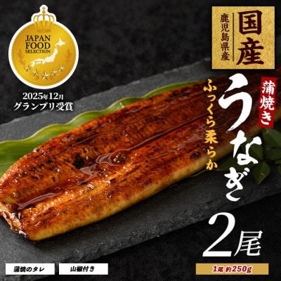 鹿児島県産うなぎ蒲焼じっくり焼き約250g×2尾 020-1107