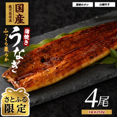 【さとふる限定】鹿児島県産うなぎ蒲焼じっくり焼き約250g×4尾 038-1108
