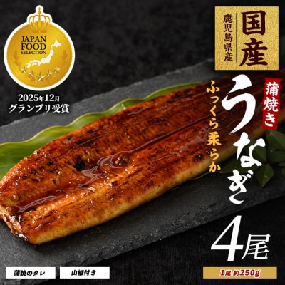 鹿児島県産うなぎ蒲焼じっくり焼き約250g×4尾 038-1108