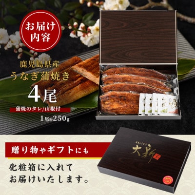 鹿児島県産 うなぎ蒲焼 じっくり焼き 約250g×4尾 木目 化粧箱入り 038-1108 鰻