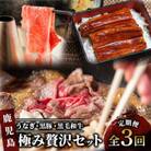 【全3回定期便】うなぎ・黒豚・黒毛和牛 鹿児島極み贅沢セット いつからでも定期便(Z034-533)