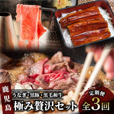 【全3回定期便】うなぎ・黒豚・黒毛和牛 鹿児島極み贅沢セット いつからでも定期便(Z034-533)