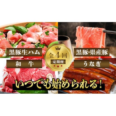 【全4回定期便】豚・牛・うなぎ　鹿児島よくばり定期便2(Z050-534)