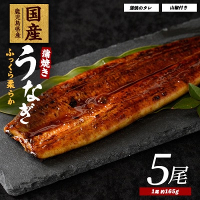【鹿児島県産】うなぎ蒲焼じっくり焼き約165g×5尾 化粧箱入り(037-1106)