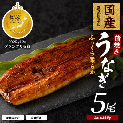 鹿児島県産うなぎ蒲焼じっくり焼き約165g×5尾 037-1106