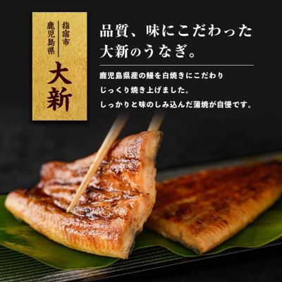 【鹿児島県産】うなぎ蒲焼じっくり焼き約165g×3尾 化粧箱入り(023-1105)