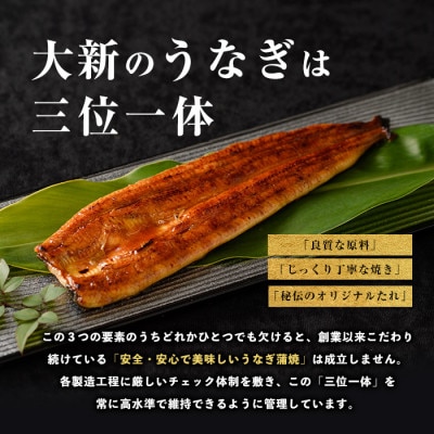 【鹿児島県産】うなぎ蒲焼じっくり焼き約165g×3尾 化粧箱入り(023-1105)