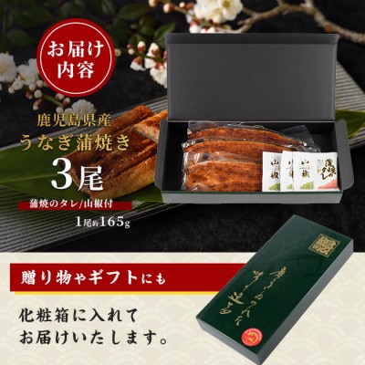 【鹿児島県産】うなぎ蒲焼じっくり焼き約165g×3尾 化粧箱入り(023-1105)