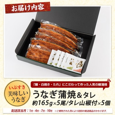 【全3回定期便】鰻・鰹たたき・灰干し 匠の技定期便(IBZ999-009)