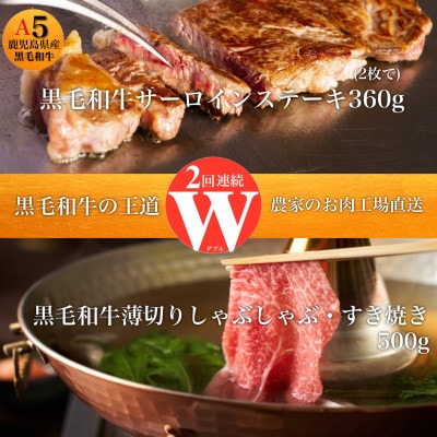 【全2回定期便】ステーキ&すき焼き・しゃぶしゃぶ!W黒毛和牛の王道定期便(Z024-627)