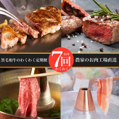 【全7回定期便】お肉わくわく定期便(Z100-537)