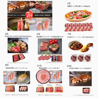 【全7回定期便】お肉わくわく定期便(Z100-537)