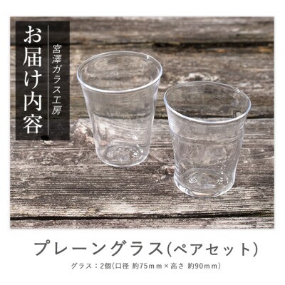 プレーングラス(ペアセット)(IB095-004)