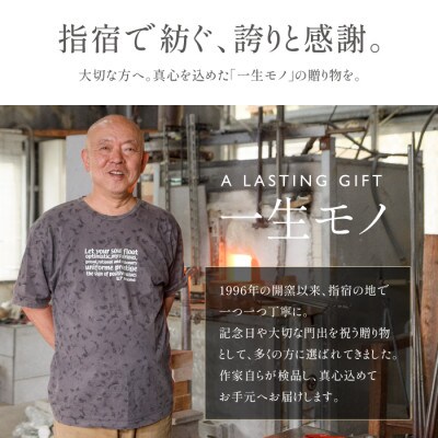 色被せグラス(ペアセット)(IB095-005)