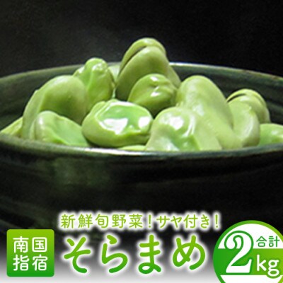 【2025年3月中旬より順次発送】サヤ付き そらまめ2kg(013-1012)