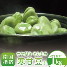 【2024年1月より順次発送】サヤ付き そらまめ1kg 寒甘豆(R)(010-1576)