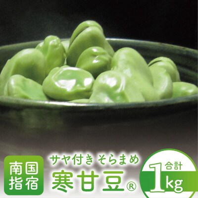 【2025年1月中旬より順次発送】サヤ付き そらまめ1kg 寒甘豆(R)(010-1576)