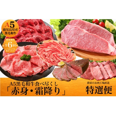 【全6回定期便】鹿児島県産A5黒毛和牛霜降り・赤身食べ尽くし定期便ギフト箱(Z120-550)M21