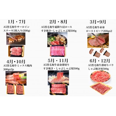 【全6回定期便】鹿児島県産A5黒毛和牛霜降り・赤身食べ尽くし定期便ギフト箱(Z120-550)M21