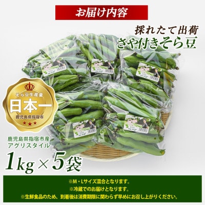【～2026年4月下旬発送】さや付きそら豆 約5kg～春～(IB066-001)