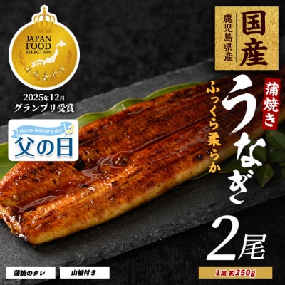 【父の日ギフト】【鹿児島県産】うなぎ蒲焼じっくり焼き約250g×2尾(IB021-001f)