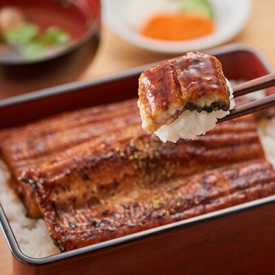 【母の日ギフト】【鹿児島県産】うなぎ蒲焼じっくり焼き約250g×2尾(020-1107m)