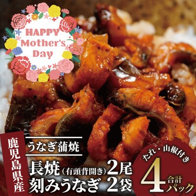 【母の日ギフト】鹿児島産 鰻蒲焼2尾・きざみうなぎ2袋セット(024-1309m)