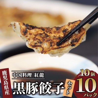 黒豚餃子 10個入×10パック【地元の中華料理店で人気!】(010-1577)