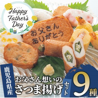 【父の日ギフト】お父さん想いのさつま揚げセット(010-1588f)