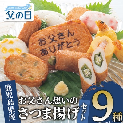 【父の日ギフト】お父さん想いのさつま揚げセット(IB024-004f)