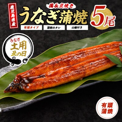 【丑の日】鹿児島産鰻蒲焼5尾(036-1312u)