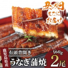 【丑の日】鹿児島県産うなぎ蒲焼 有頭背開き 約160g&times;2尾(015-1525u)