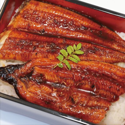 【丑の日】鹿児島県産うなぎ蒲焼 有頭背開き 約160g×2尾(015-1525u)