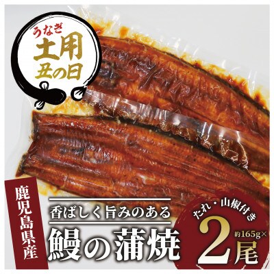 【丑の日】鹿児島県産鰻の蒲焼(無頭背開き)約165g×2尾(016-1065u)