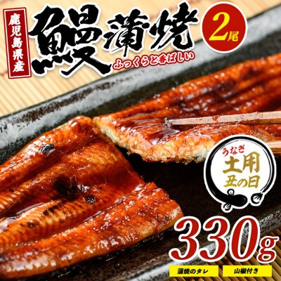 【丑の日】鹿児島県産鰻の蒲焼(無頭背開き)約165g×2尾(IB022-001u)