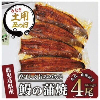 【丑の日】鹿児島県産鰻の蒲焼(無頭背開き)約165g×4尾(033-1066u)