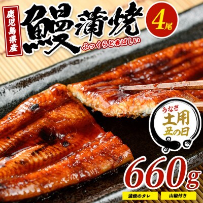 【丑の日】鹿児島県産鰻の蒲焼(無頭背開き)約165g×4尾(IB022-002u)