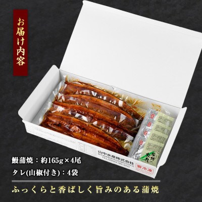 【丑の日】鹿児島県産鰻の蒲焼(無頭背開き)約165g×4尾(IB022-002u)